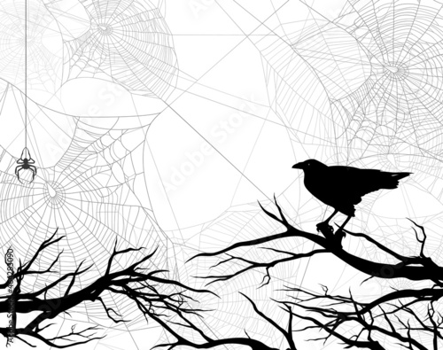 black raven bird, bare tree branches and spider web background - halloween theme vector copy space 
