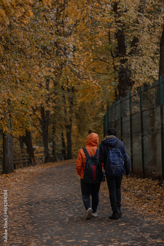 Młoda para idąca przez park