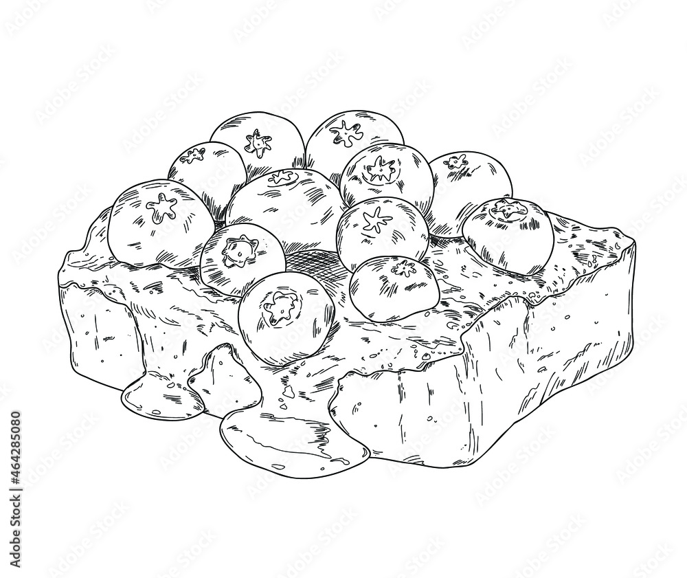 Hand drawn sketch of cheesecake with fresh blueberries. Outline vector illustration. Hand drawn sketch of cheesecake with fresh blueberries. Outline vector illustration.