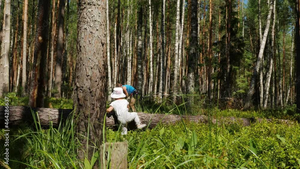 custom made wallpaper toronto digitalVideoshot of little girl walking with her grandmother in the forest

