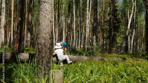 Wallpaper Mural Videoshot of little girl walking with her grandmother in the forest
 Torontodigital.ca
