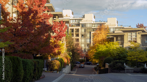 Colorful Fall leaves at a BC residential community. © Andrew