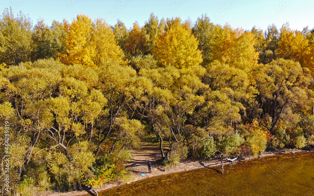Aerial river coast view with autumn yellow forest