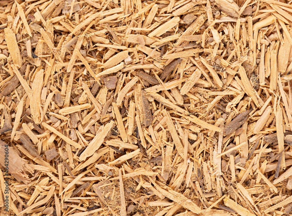 Muira Puama herbal tea background. Natural potency wood, medicinal plant, dry tea. Ptychopetalum olacoides. Top view. Muira Puama herbal tea background. Natural potency wood, medicinal plant, dry tea. Ptychopetalum olacoides. Top view.