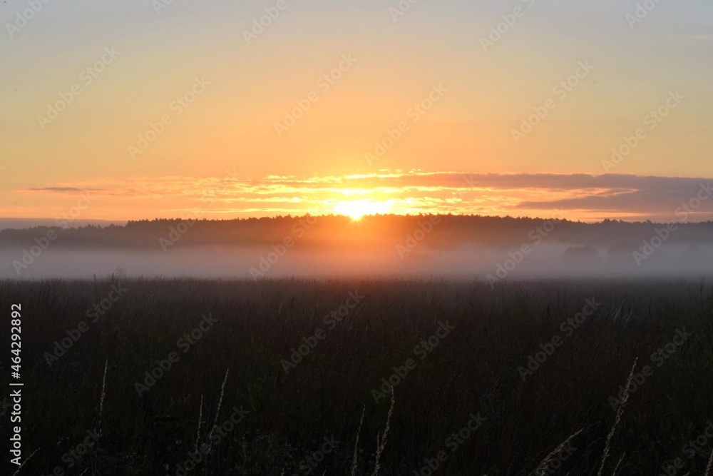 sunrise over the forest