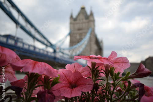 Canvas Print tower bridge london england iconic landmark historical monument architecture pos
