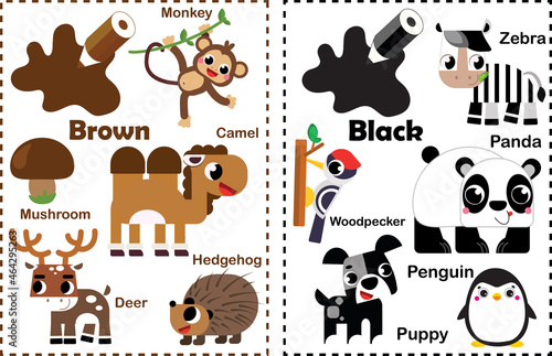 Fototapeta Naklejka Na Ścianę i Meble -  Brown. Black. Learn the color. Education set. Illustration of primary colors. Animal color illustration