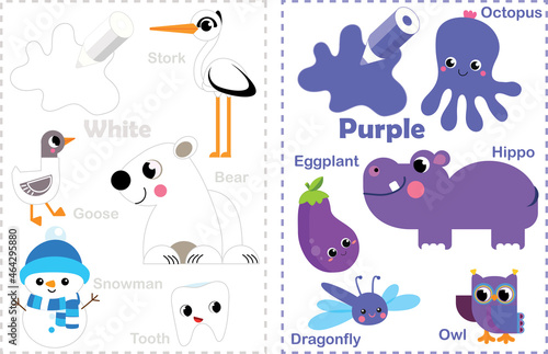 Fototapeta Naklejka Na Ścianę i Meble -  White. Purple. Learn the color. Education set. Illustration of primary colors. Animal color illustration