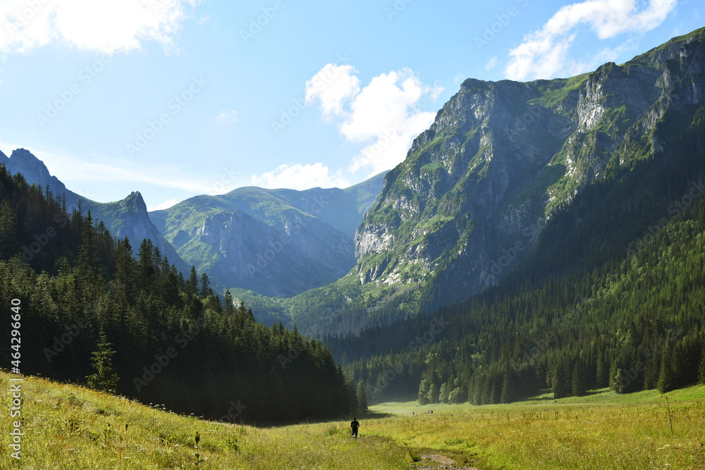 valley in tatra mountains