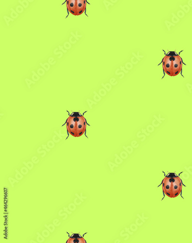 Seamless pattern with ladybugs. Forest background. Hand-drawn illustration, colored © Victoria Novak