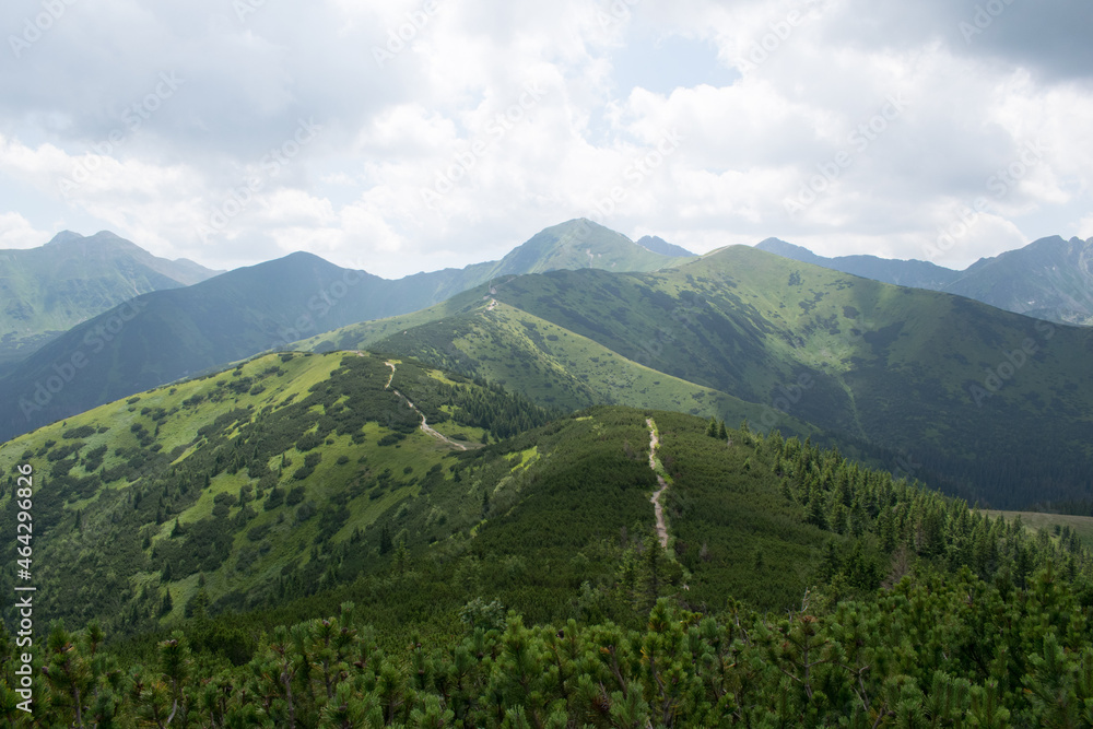 landscape in the mountains tatra mountains czerwone wierchy