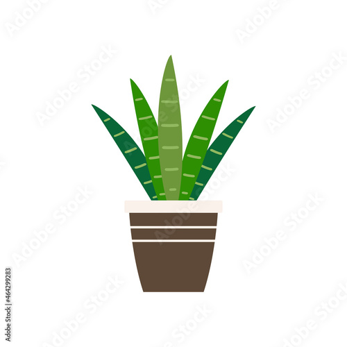 Plants in pot vector. Plants in pot icon vector on white background.