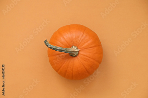 Εκτύπωση καμβά Close up shot of a single classic orange pumpkin isolated on bright background as a symbol of autumnal holidays with a lot of copy space for text