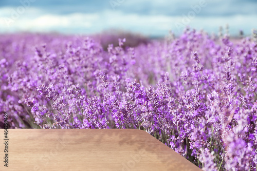 Empty wooden surface in field with beautiful blooming lavender on sunny day