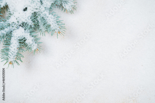 Christmas decoration. Fir branches border on snow background  good for christmas backdrop