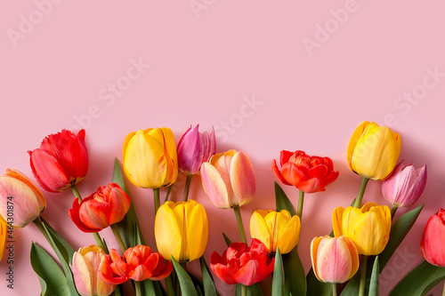 A bouquet of tulips of different colors on a pink background. #464301874