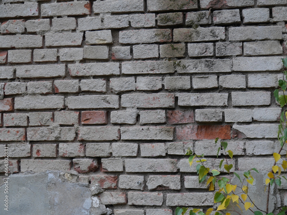 Sarnierungsbedürftige Backsteinmauer mit abgeplatztem Putz Sarnierungsbedürftige Backsteinmauer mit abgeplatztem Putz