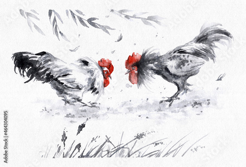 Billede på lærred Watercolor sketch of young roosters fight.