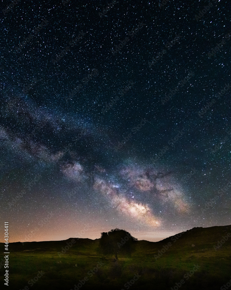 Tree in the mountains with via láctea and milky way in the background