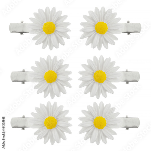 daisies on white background