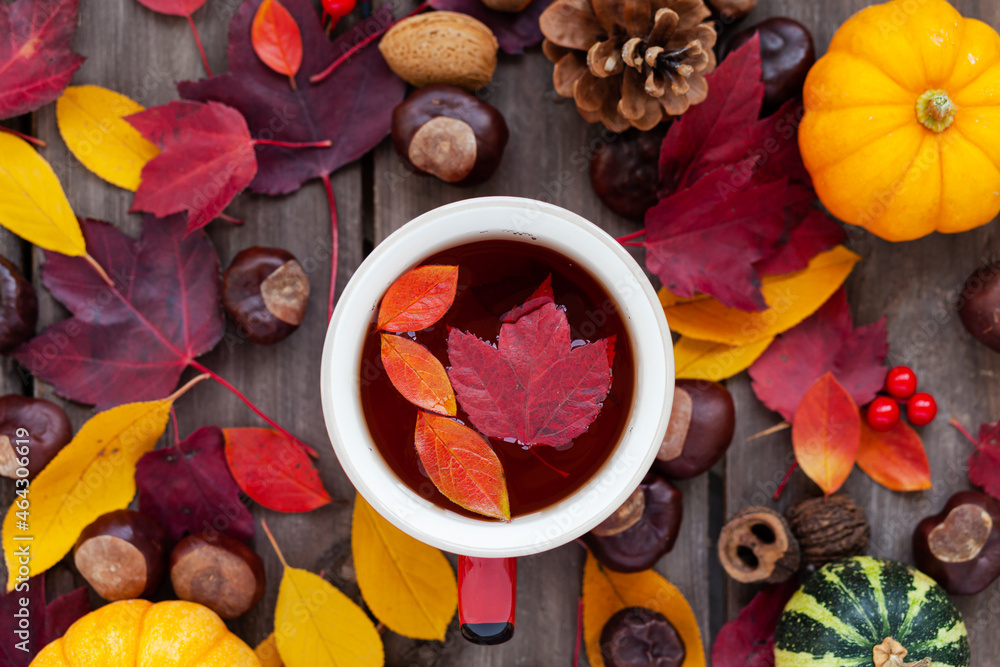Autumn flat lay. Red mug with hot herbal tea. Pumpkins, bright maple leaves, wooden background. Top view close up