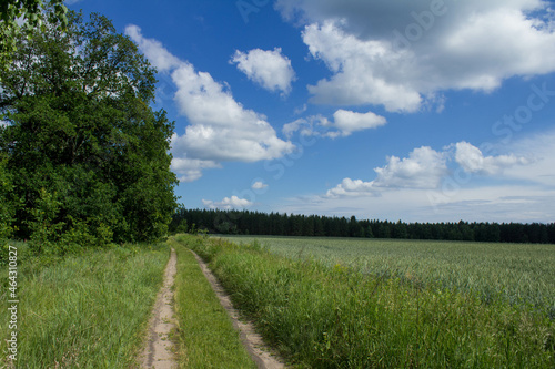 road to the sky