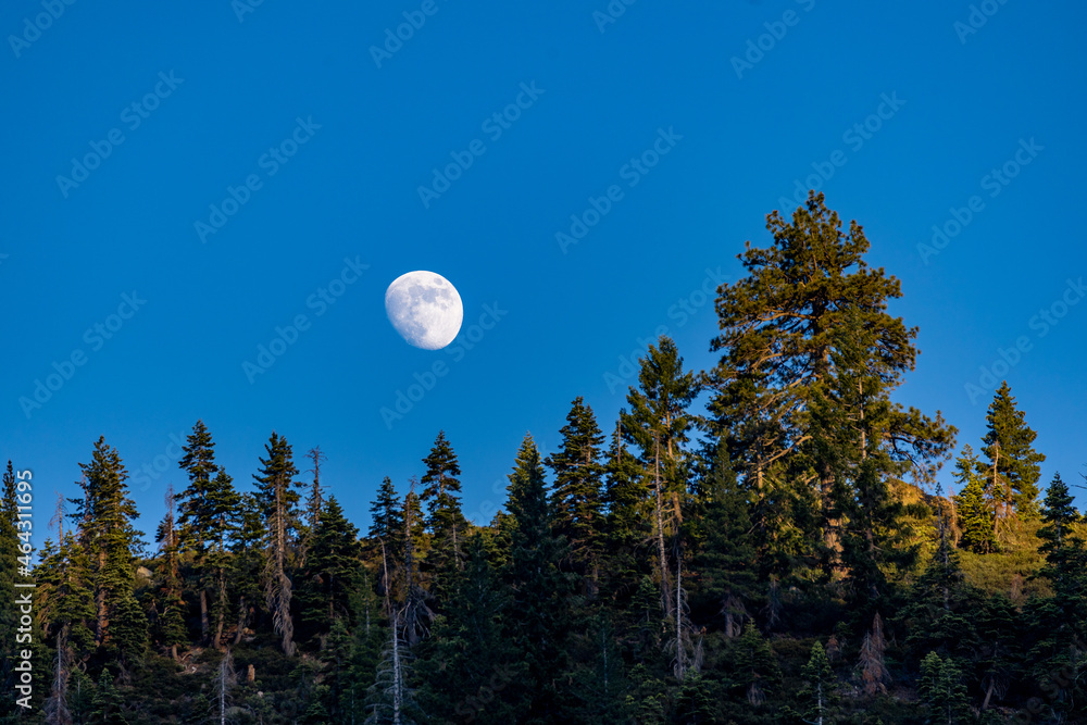 Naklejka premium Moon at sunset