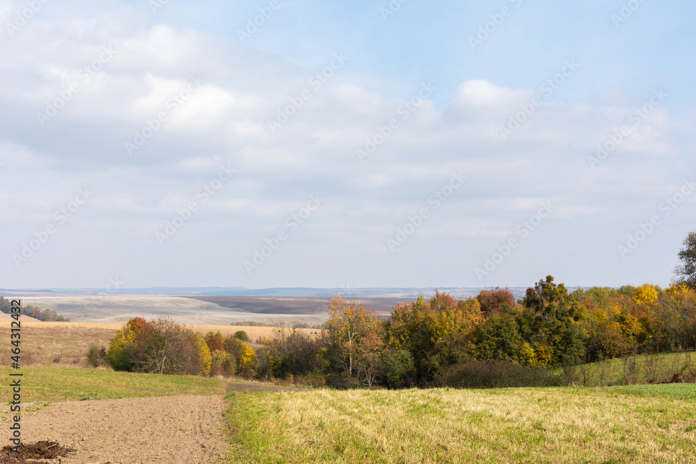 Autumn landscape with harvested fields and forest belt