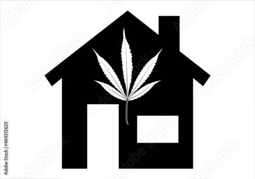 La casa del cannabis. Cannabis casero. Plantación doméstica de cannabis