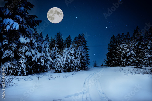 Winter forest at night. Deep snowdrifts. The full moon illuminates the track from the snowmobile