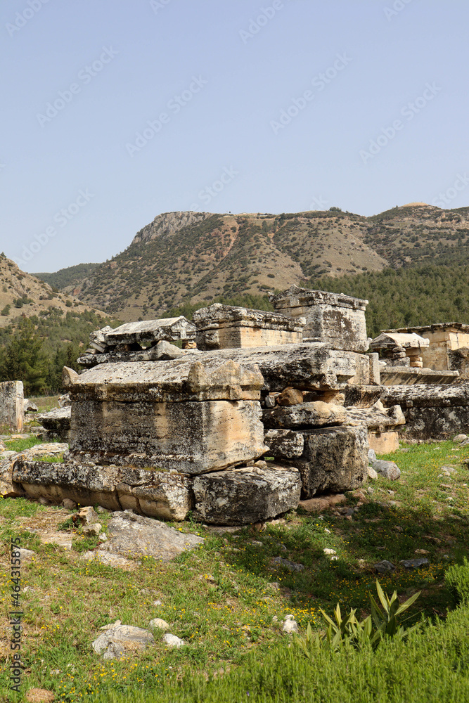 picturesque landscape with ancient stone tombs of Hierapolis, Turkey in the grass