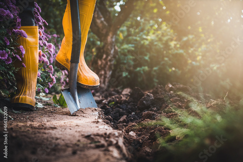Worker digs soil with shovel in colorful garden, agriculture concept autumn detail. Mans yellow boot or shoe on spade prepare for digging.