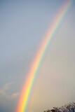 Rainbow Vertical 02
