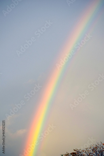 Rainbow Vertical 02