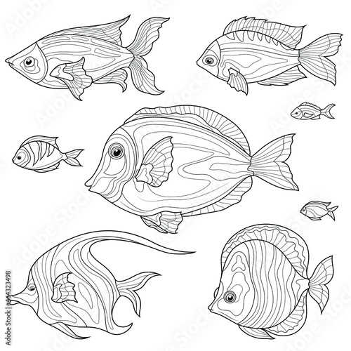 Fish set. Black and white sketch.Coloring book antistress for children and adults. Illustration isolated on white background.Zen-tangle style. Hand draw