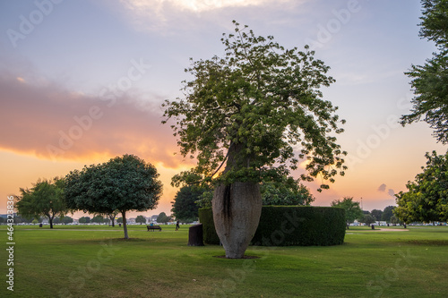 Fototapeta Naklejka Na Ścianę i Meble -  Aspire Park in Doha, Qatar during sunset