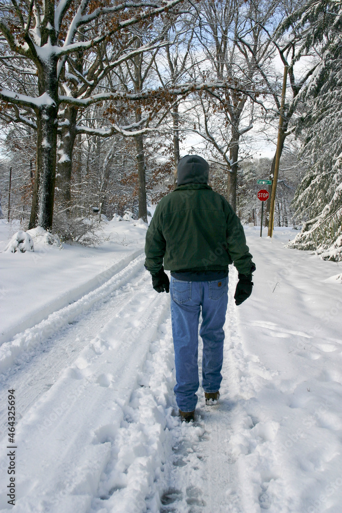 A Snowy Walk in Winter A Snowy Walk in Winter