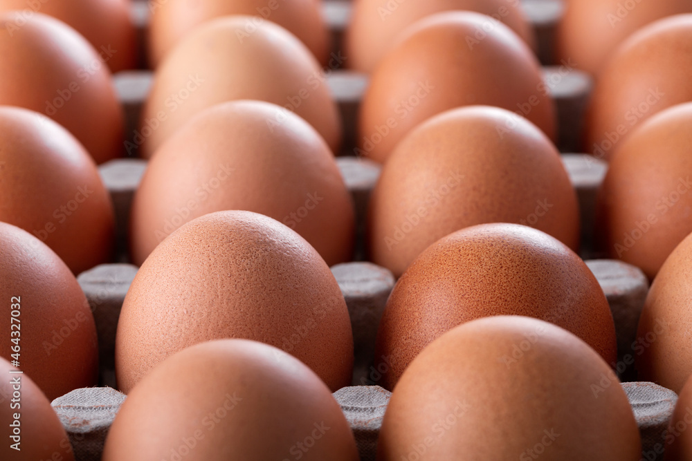 Fresh eggs in box, closeup Fresh eggs in box, closeup