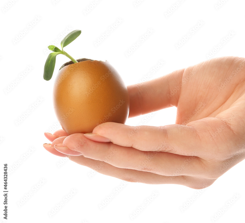 Woman holding green seedling in eggshell on white background Woman holding green seedling in eggshell on white background