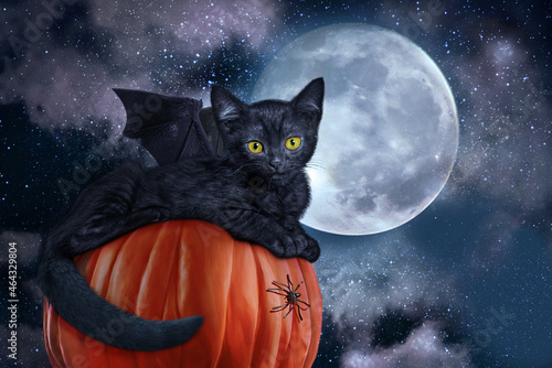 Vászonkép Black cat with bat wings