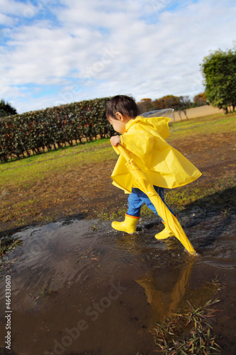 黄色い傘とカッパと長靴を履いて水たまりで遊ぶ幼児 photo