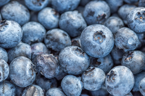 Close-up shot of delicious blueberries