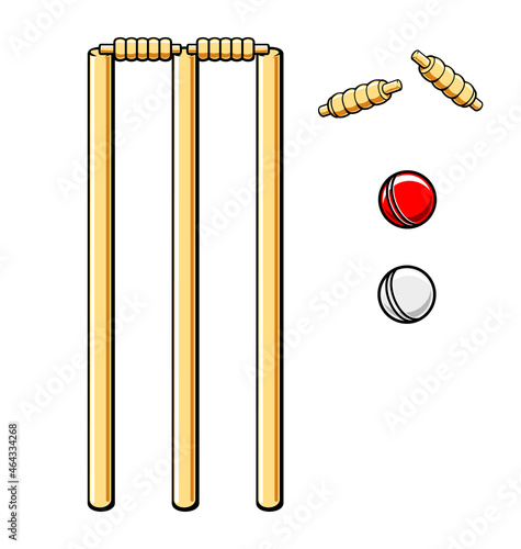 cricket set stumps bails and balls