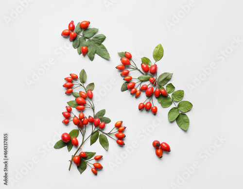 Composition with fresh rose hip berries and leaves on white background