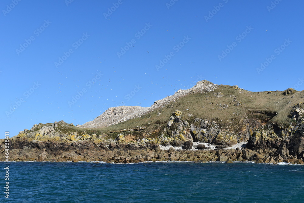 Les sept îles Cote d'Armor : île Rouzic 