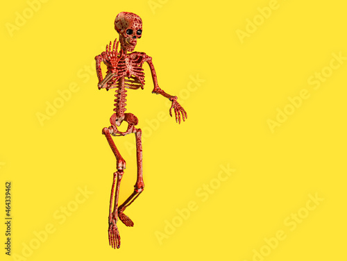 Bloodstained human skeleton...