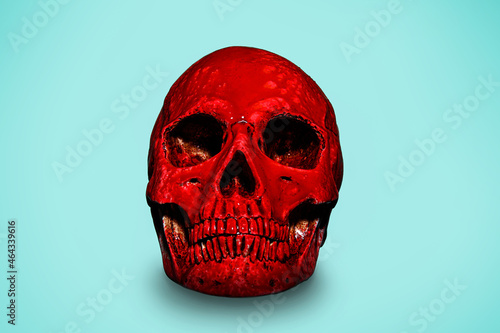 Bloodstained human skull on...