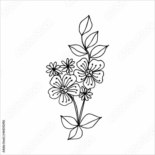 Fototapeta Naklejka Na Ścianę i Meble -  Hand drawn flower, single doodle element  for coloring, design, poster, invitation, postcard. Black and white vector image