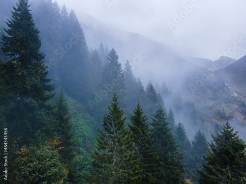 Moody and spooky cinematic forest in mountain during rain. Clouds and fog on mountain cover forest valley