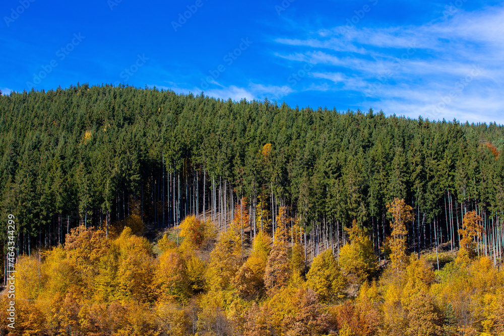 Landscape with forest in many colors on the hill in autumn